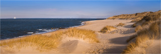  Panoramabild Dünen der Nordsee auf Sylt