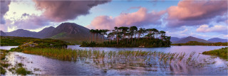  Panoramafoto Pine Tree Island Connemara Park Irland