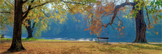  Panoramafoto Herbst im Park Pilnitz