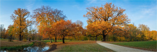  Panoramafoto Herbstlicher Park