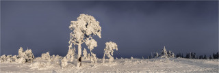  Panoramafoto Winter Hornisgrinde Nordschwarzwald