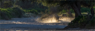  Panoramafoto Elefantenherde im Hoanib Tal Namibia 