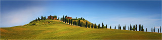  Panoramabild langer Zypressenweg in der Toskana