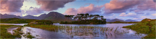  Panoramabild PineTree Insel Irland