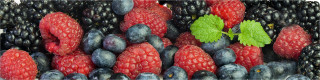  Panoramabild Früchte Makro Mix