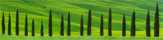  Panoramabild  Grüne Zypressen im Frühlingsfeld Toskana Italien