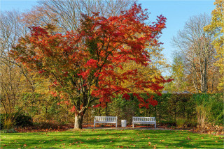  Wanddeko Herbstlicher Park