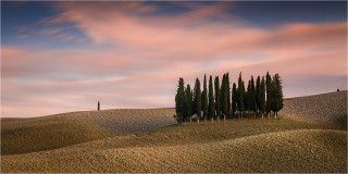  Panoramabild Zypressenhain der Toskana Italien