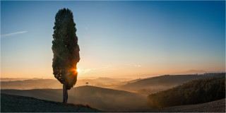  Panoramabild Sonnenaufgang mit Zypresse Toskana 