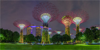  Panoramabild Gardens by the Bay Singapur