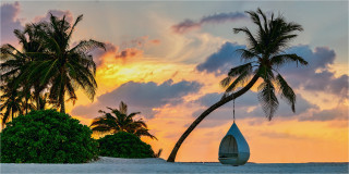  Panoramabild Strandlounge unter Palmen der Südsee