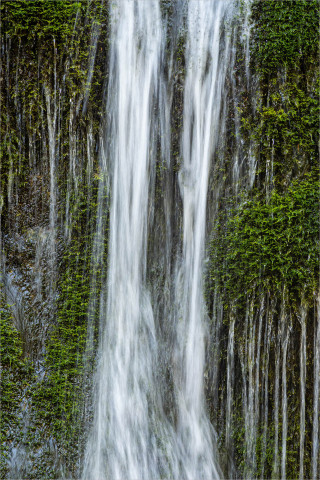  Wandbild Wasserfall im Moos
