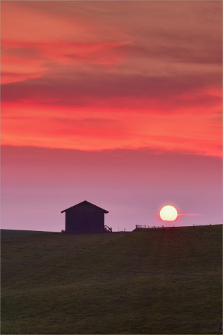  Wandbild Sonnenaufgang im Feld